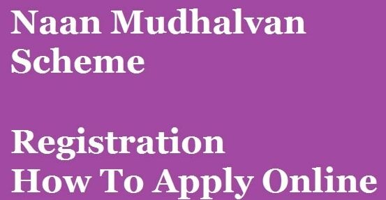 Tamilnadu Naan Mudhalvan Scheme Registration Details, How to Apply Online, Eligibility Criteria at naanmudhalvan.gov.in