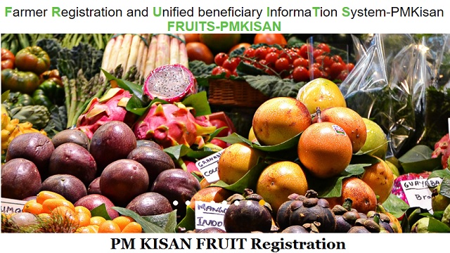 PM Kisan Fruits Registration, Apply Online, Citizen Login, Beneficiary Status, ID Search By Adhaar Number