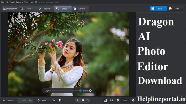 DragGan AI Photo Editor Download, Tool Website, Image Editor Online, Features, Shortcuts, How to Use